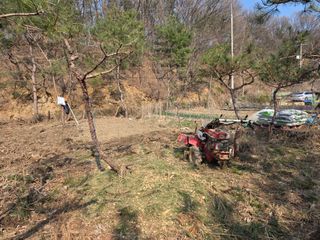 도심농부님의 기타작물 · 영농일지 작성글 사진