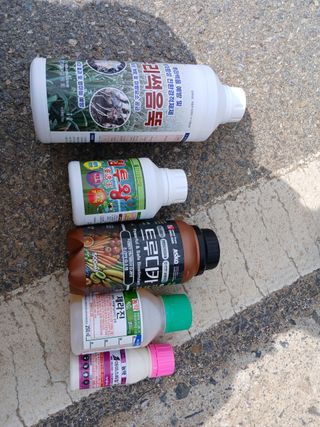 조성민님의 마늘 · 영농일지 작성글 사진