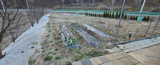 강호지인님의 기타작물 · 영농일지 작성글 사진