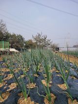 알렉산더님의 작성글 사진