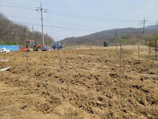 신승철님의 사과 · 영농일지 작성글 사진