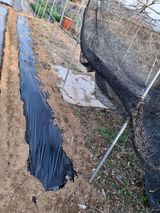 백영호님의 작성글 사진