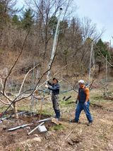 박기택님의 작성글 사진