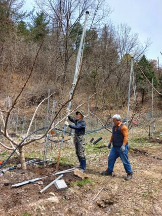 박기택님의 복숭아 · 영농일지 작성글 사진