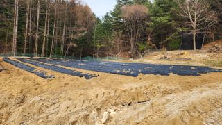 금옥길24님의 기타작물 · 영농일지 작성글 사진