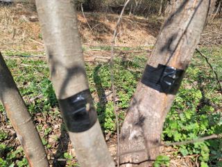 신승철님의 사과 · 영농일지 작성글 사진