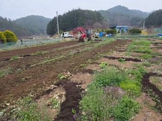 박훈재님의 기타작물 · 영농일지 작성글 사진