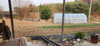 yee105님의 기타작물 · 영농일지 작성글 사진