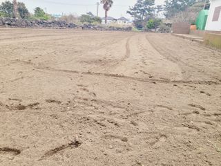 한경훈님의 기타작물 · 영농일지 작성글 사진