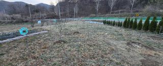 강호지인님의 기타작물 · 영농일지 작성글 사진