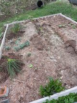 팜모닝 기타작물·영농일지 게시글 이미지