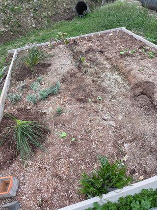 김성환님의 기타작물 · 영농일지 작성글 사진