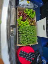 팜모닝 파·영농일지 게시글 이미지