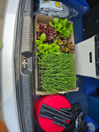 박홍권님의 파 · 영농일지 작성글 사진