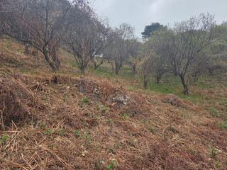 쌍둥이농장님의 기타작물 · 영농일지 작성글 사진