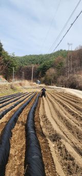 팜모닝 기타작물·영농일지 게시글 이미지