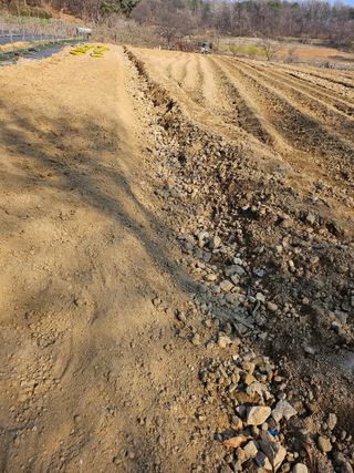 우진수님의 기타작물 · 영농일지 작성글 사진