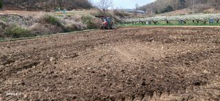 이형근님의 벼 · 영농일지 작성글 사진