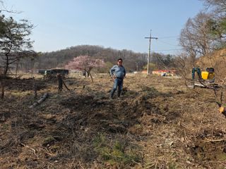 도심농부님의 기타작물 · 영농일지 작성글 사진
