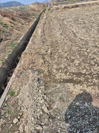 곰새끼님의 기타작물 · 영농일지 작성글 사진