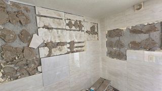 대박농장신초시님의 기타작물 · 영농일지 작성글 사진