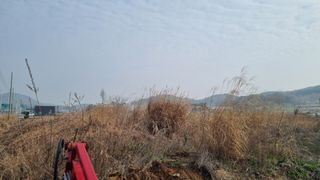 최강K님의 기타작물 · 영농일지 작성글 사진