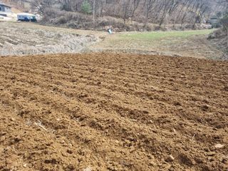 원인호님의 콩 · 영농일지 작성글 사진