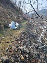 팜모닝 기타작물·영농일지 게시글 이미지