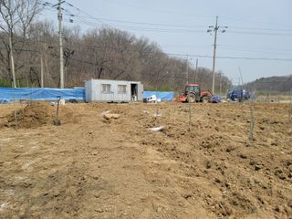 신승철님의 사과 · 영농일지 작성글 사진