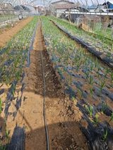 안동운님의 작성글 사진