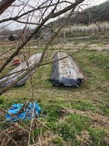 상숙님의 작성글 사진