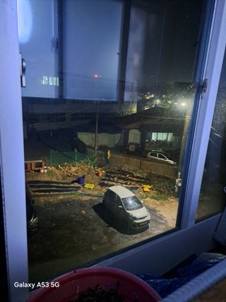 조연만님의 포도 · 영농일지 작성글 사진