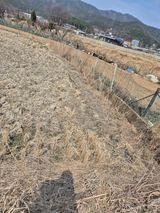 곰새끼님의 작성글 사진