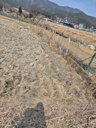 곰새끼님의 기타작물 · 영농일지 작성글 사진