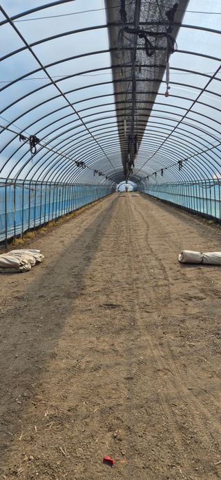 미노님의 기타작물 · 영농일지 작성글 사진