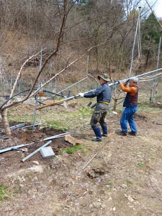 박기택님의 복숭아 · 영농일지 작성글 사진