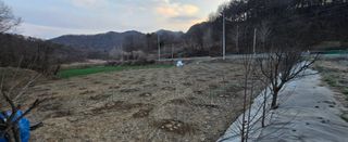 강호지인님의 기타작물 · 영농일지 작성글 사진