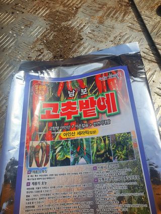 오이8898황산면님의 고추 · 영농일지 작성글 사진