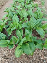 인생은 소풍처럼~님의 작성글 사진