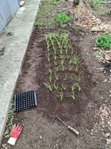 팜모닝 파·영농일지 게시글 이미지