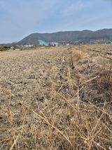 곰새끼님의 작성글 사진