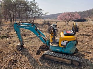도심농부님의 기타작물 · 영농일지 작성글 사진