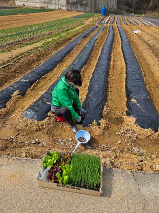 박홍권님의 파 · 영농일지 작성글 사진