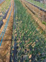 안동운님의 작성글 사진