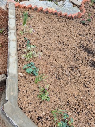 송명식님의 기타작물 · 영농일지 작성글 사진