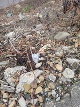 김용대님의 작성글 사진