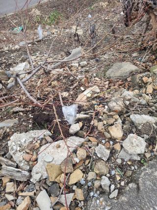 김용대님의 기타작물 · 영농일지 작성글 사진