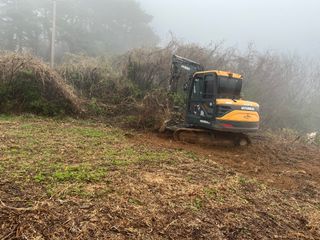 이병용님의 기타작물 · 영농일지 작성글 사진