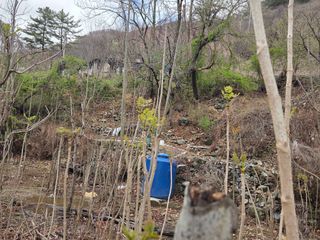 최은호님의 기타작물 · 영농일지 작성글 사진