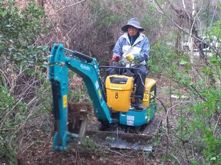 고흥백향과농장님의 기타작물 · 영농일지 작성글 사진